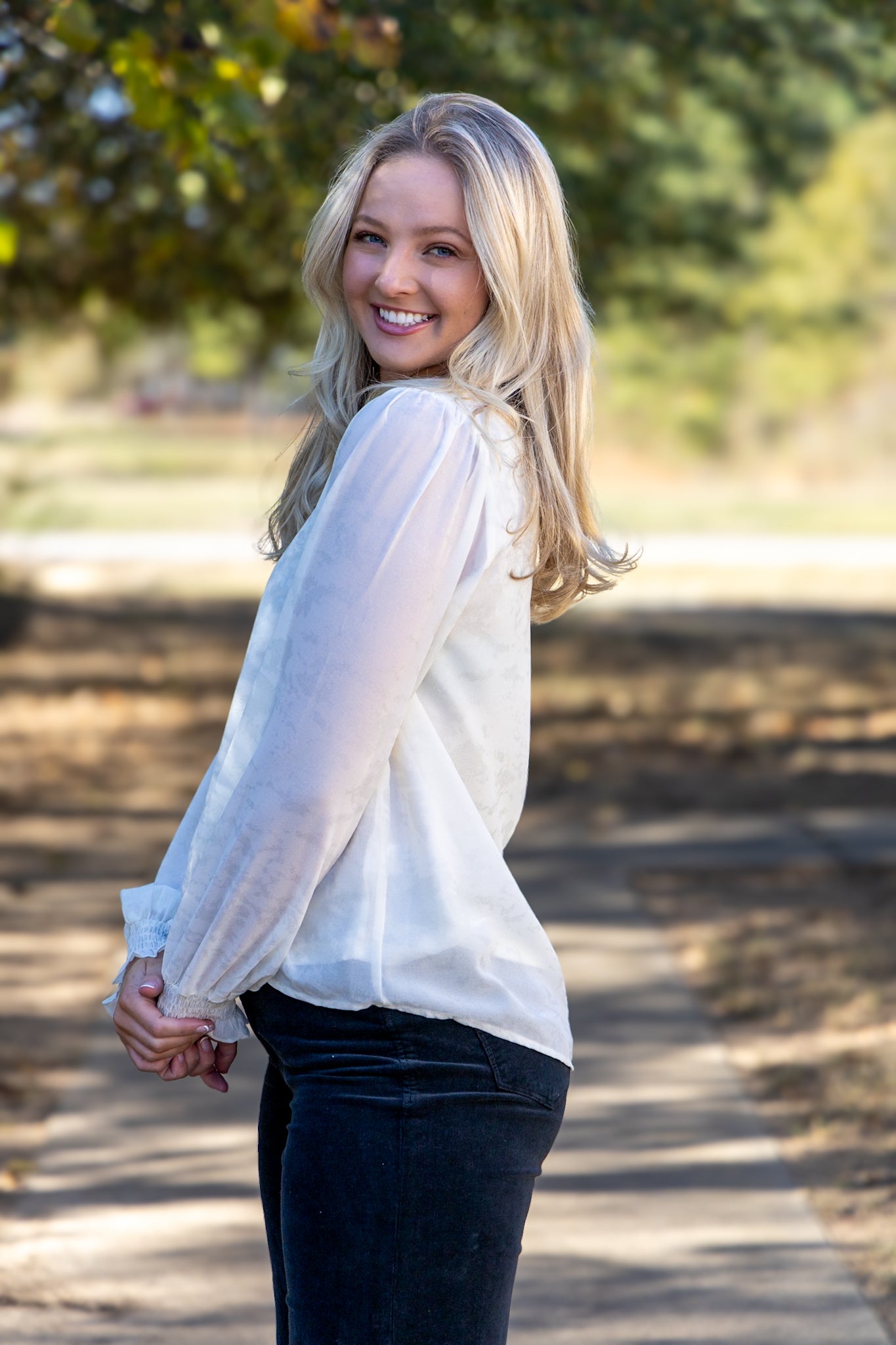 Silver Shimmer V-Neck Blouse