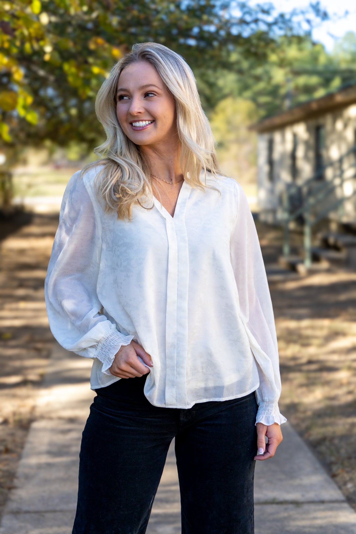 Silver Shimmer V-Neck Blouse