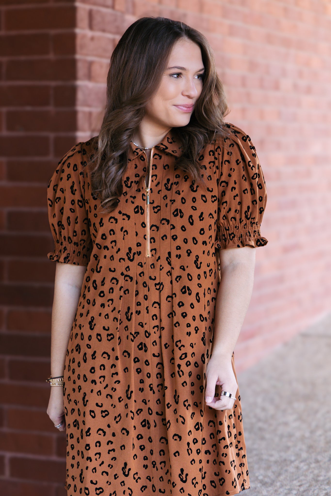 Brown Leopard Front Zip Darts Dress