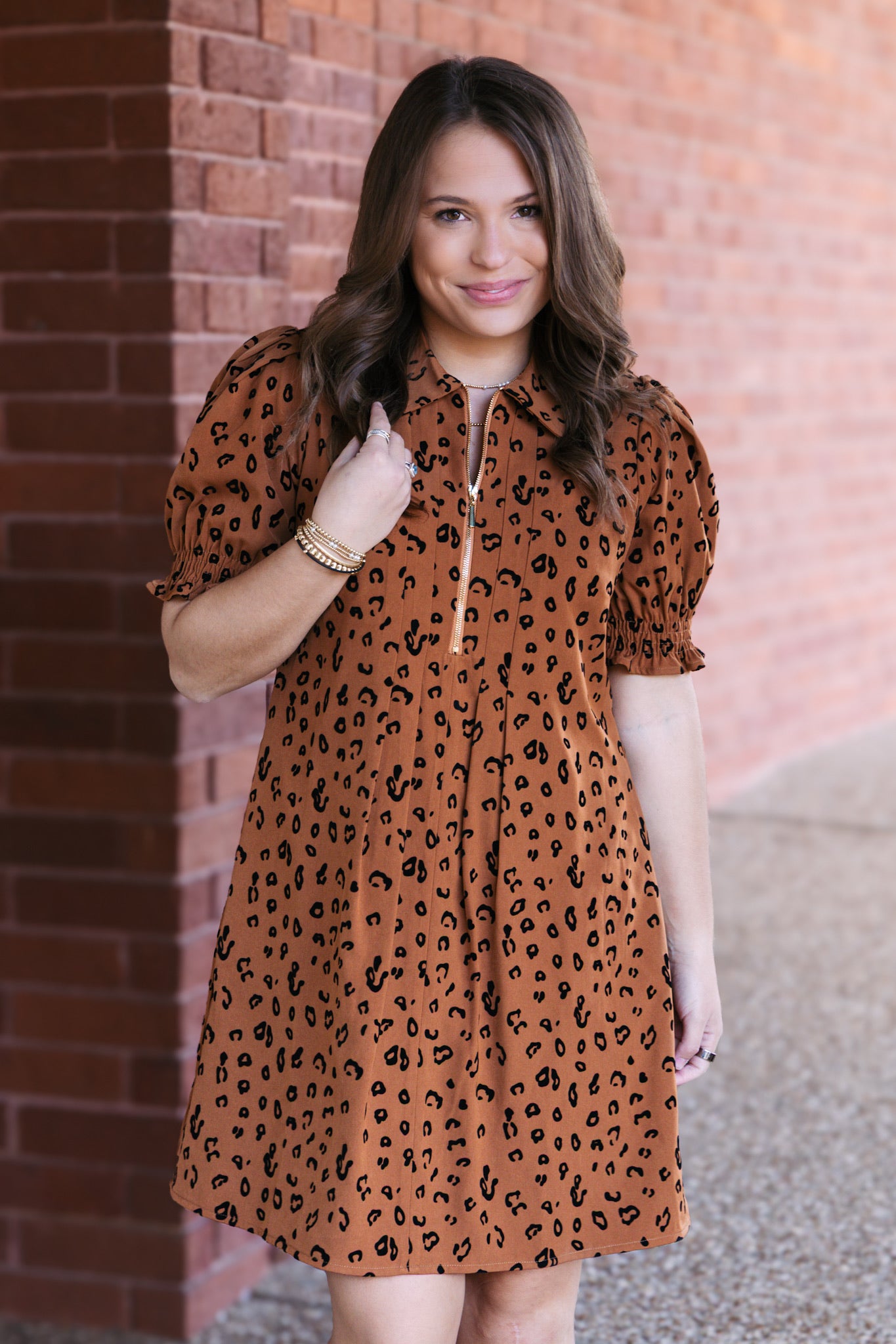 Brown Leopard Front Zip Darts Dress