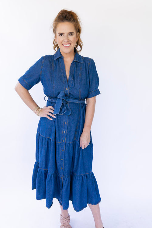 Langley Denim Maxi Dress