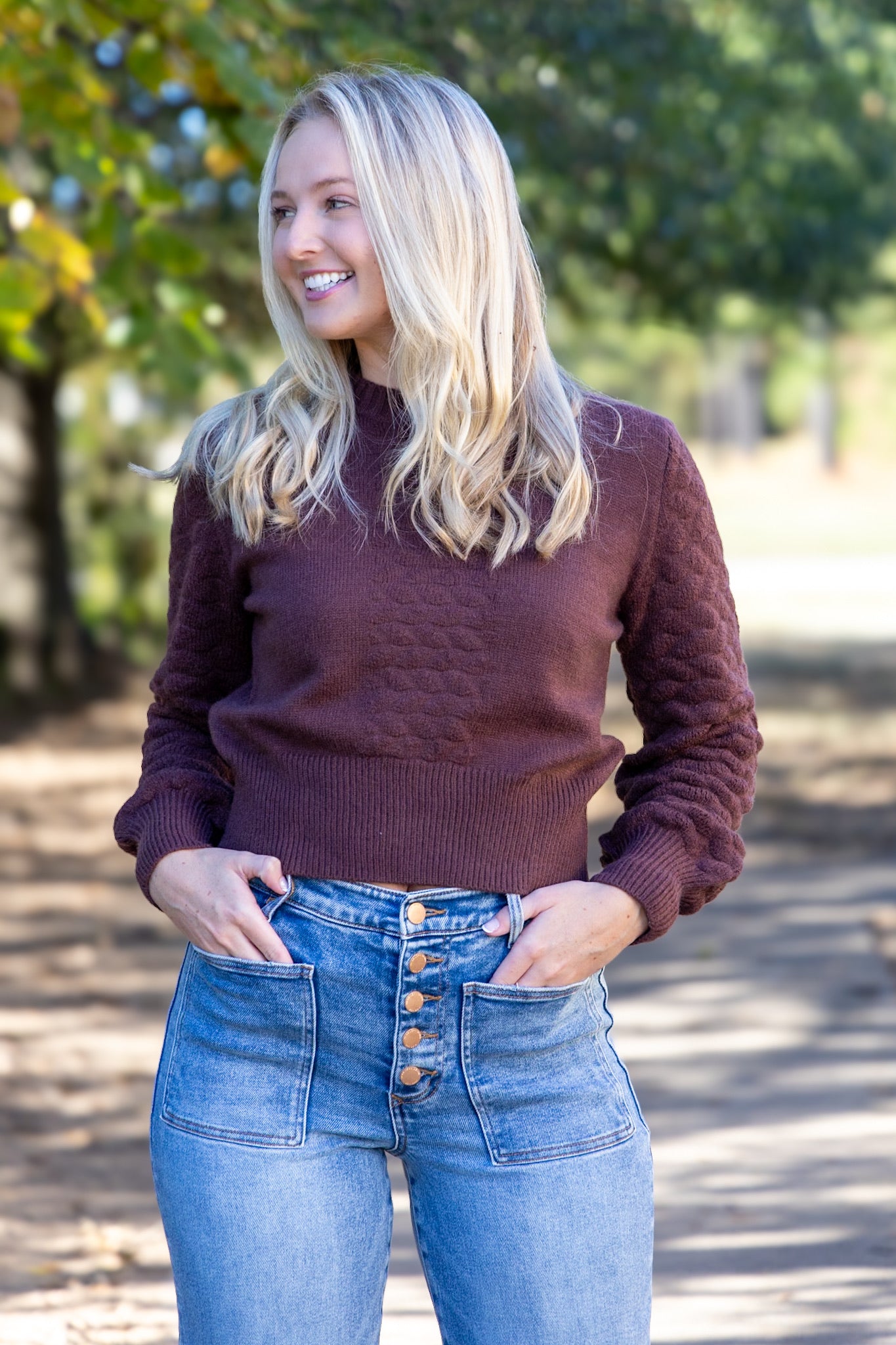 Bentley Cropped Sweater - Brown