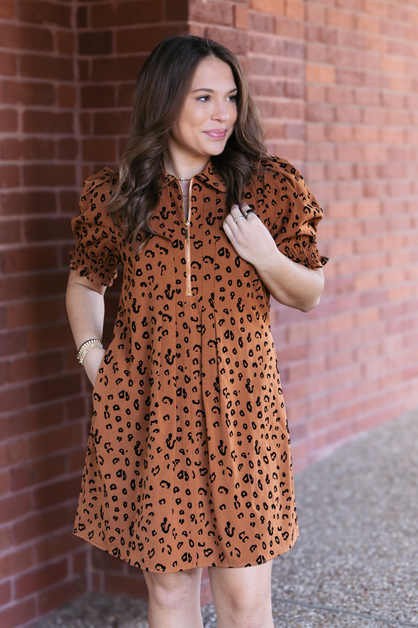 Brown Leopard Front Zip Darts Dress