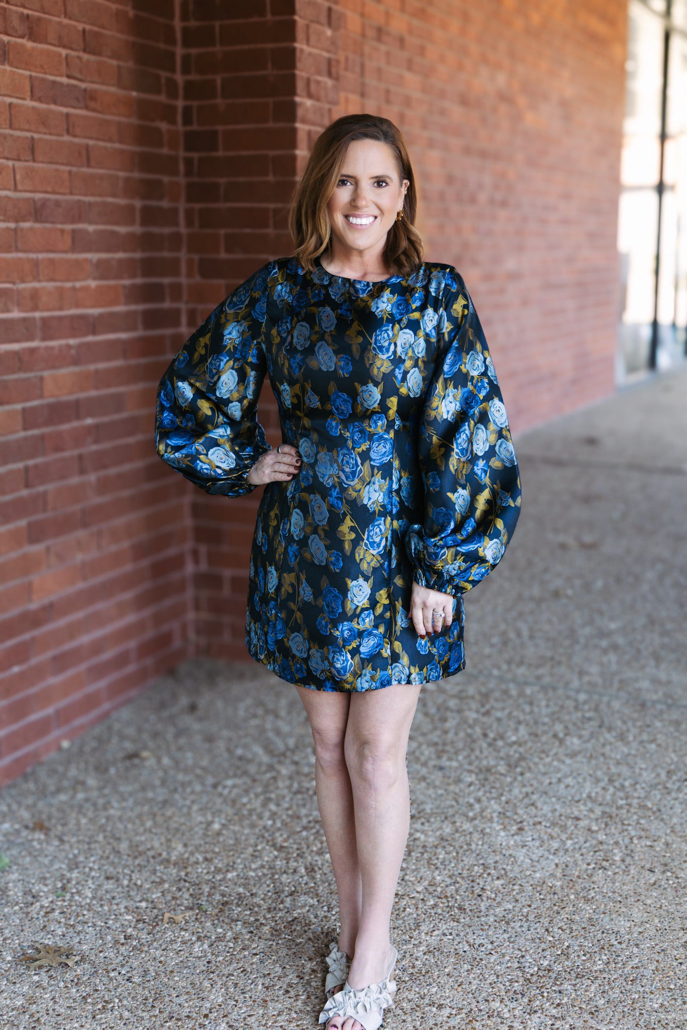 Rose Garden Balloon Sleeve Mini Dress