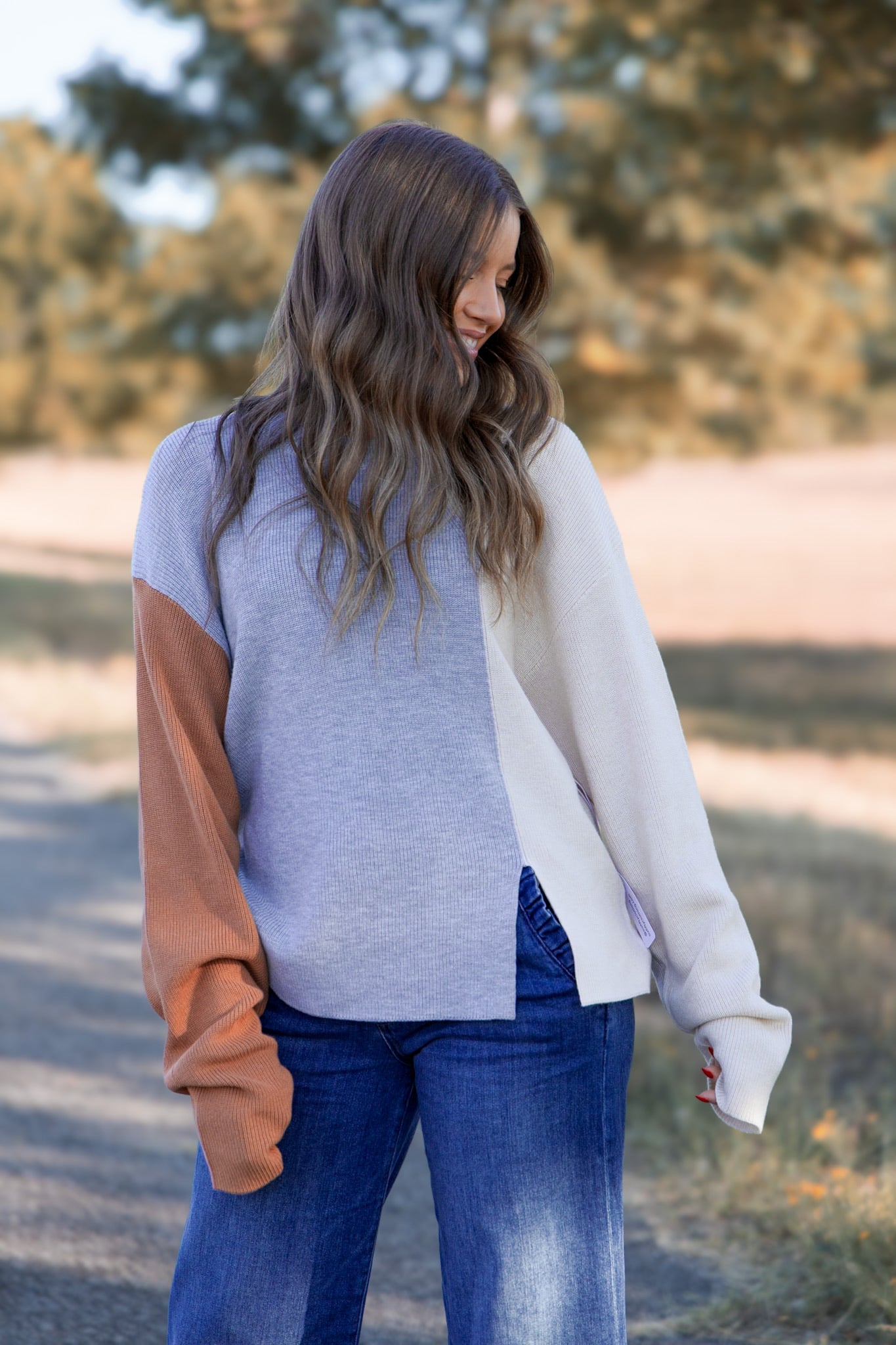 Naomi Colorblock Sweater - Brown