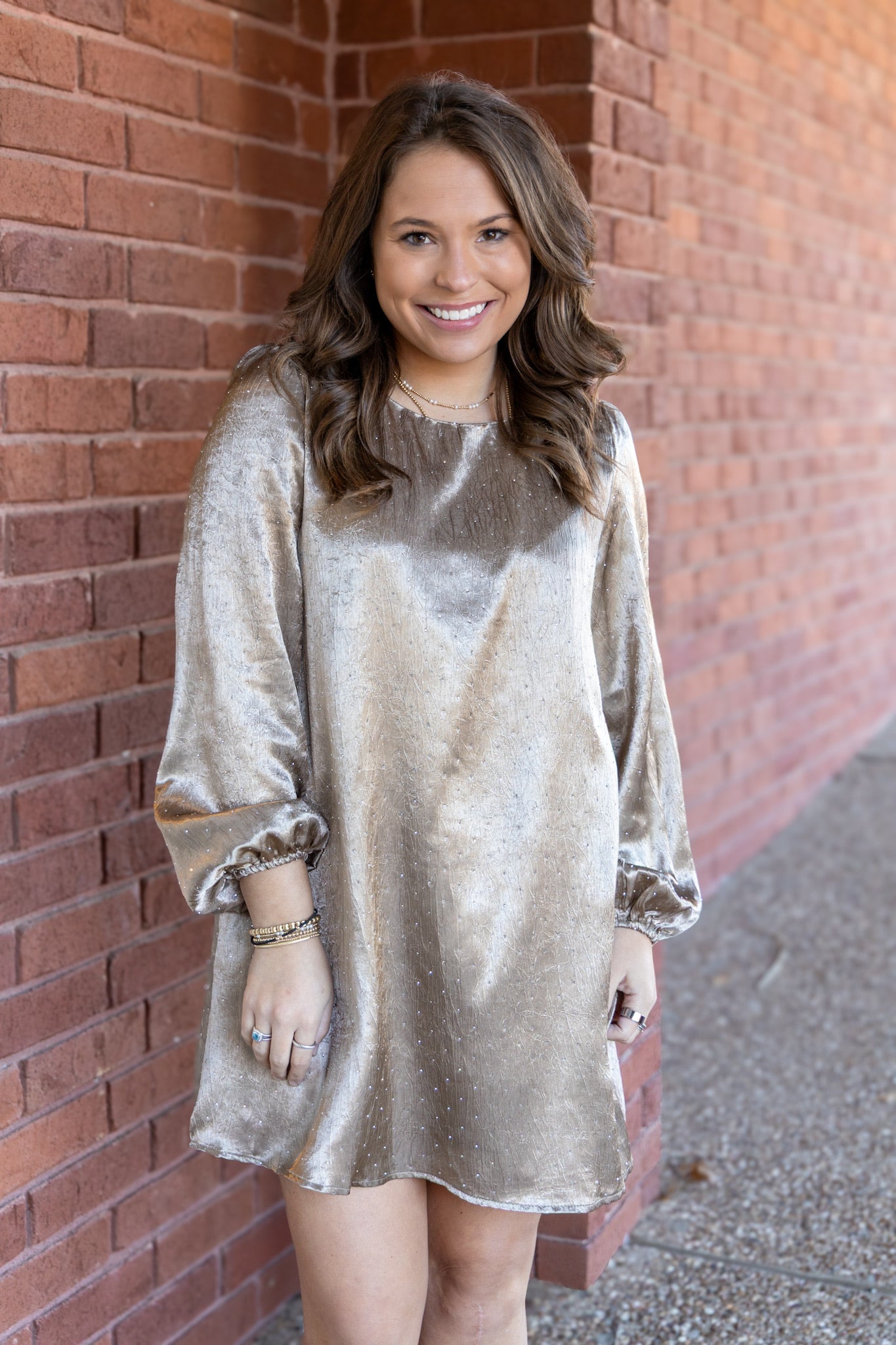 Meadow Embellished Mink Satin Mini Dress