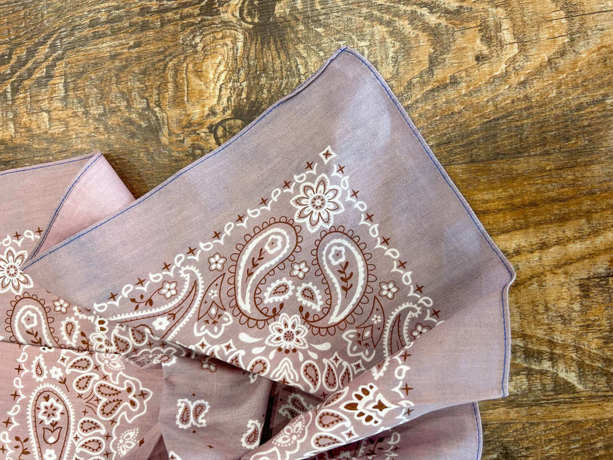 Purple Paisley Bandana