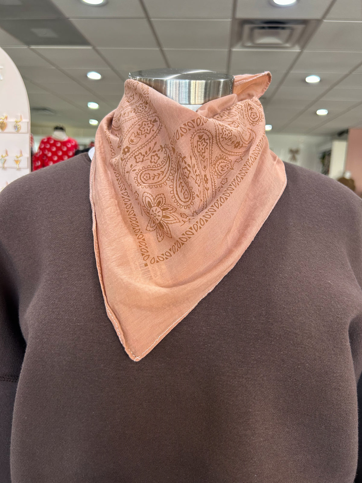 Rust Paisley Bandana