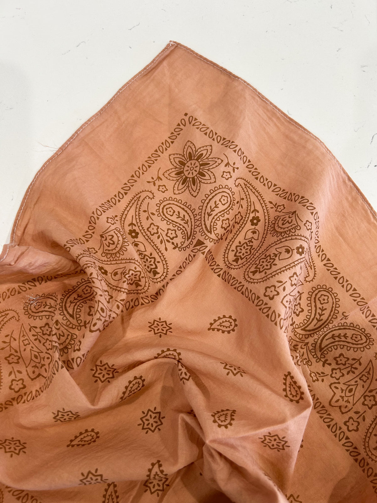 Rust Paisley Bandana