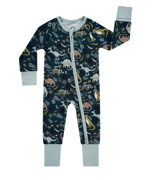 Prehistoric Dinosaur Friends Bamboo Pajamas