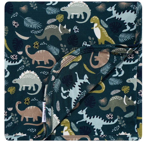 Prehistoric Dinosaur Friends Luxury Bamboo Blanket