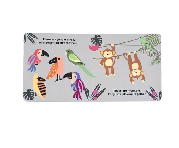 Lucy's Room Zoo Friends Board Book