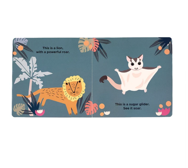 Lucy's Room Zoo Friends Board Book