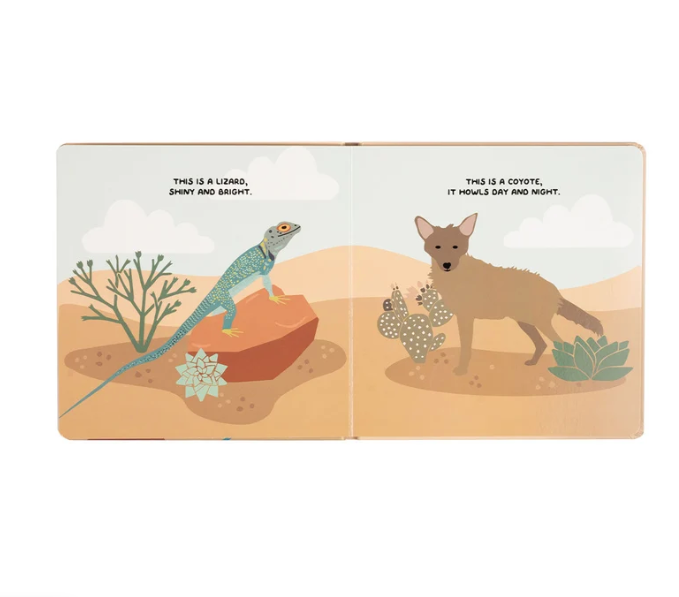Lucy's Room Desert Friends Board Book