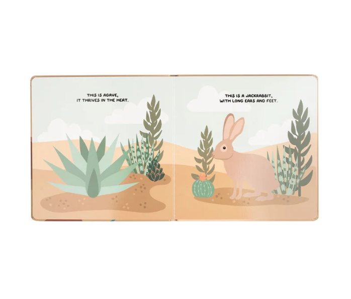 Lucy's Room Desert Friends Board Book