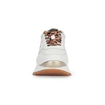 Vintage Havana-Major Gold Chrome Leopard Sneaker